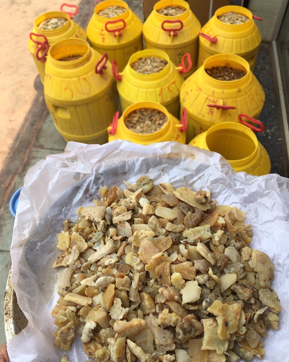 Export-Ready Hing